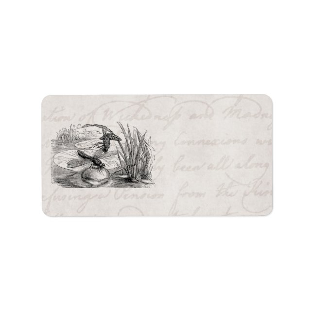 Etiqueta Vintage Dragonfly Antiquedas Dragonflies (Frente)
