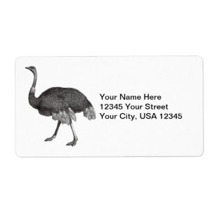 Etiqueta Vintage Ostrich