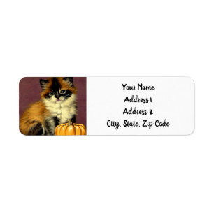 Etiqueta Vintage Ragdoll Halloween Cat