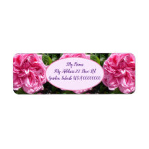 Vintage Rosa Rosa Flor Floral Retorno Floral do de