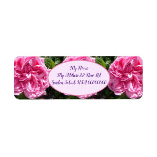 Etiqueta Vintage Rosa Rosa Flor Floral Retorno Floral do de