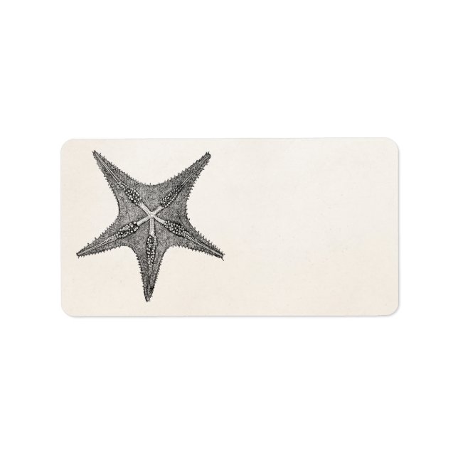 Etiqueta Vintage Starfish Antiquado Star Fish Modelo (Frente)
