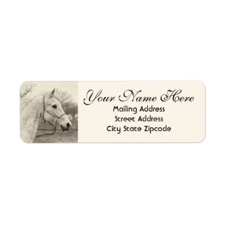 Etiqueta Vintage White Horse Return Address