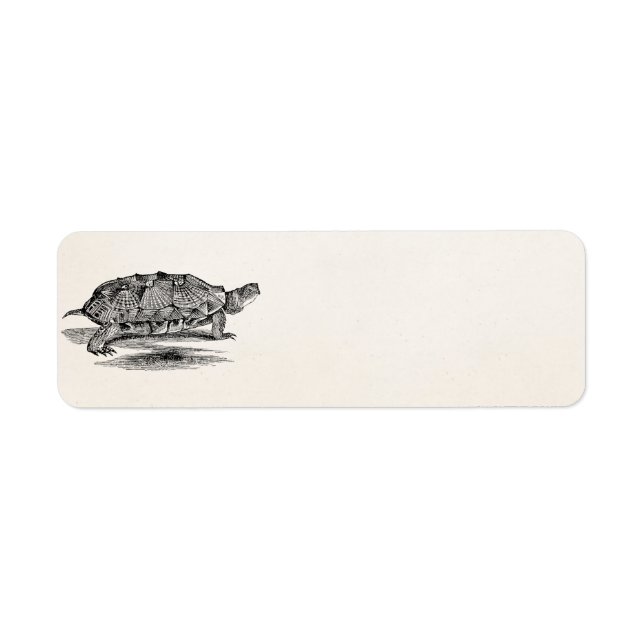 Etiqueta Vintage Wood Terrapin Turtle Modelo Vazio (Frente)