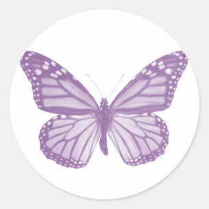 Etiqueta violeta da borboleta