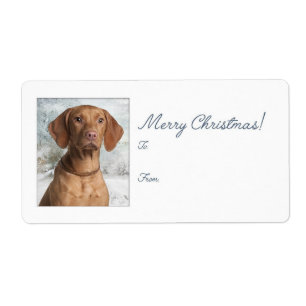 Etiqueta Vizsla Christmas Gift Stickers