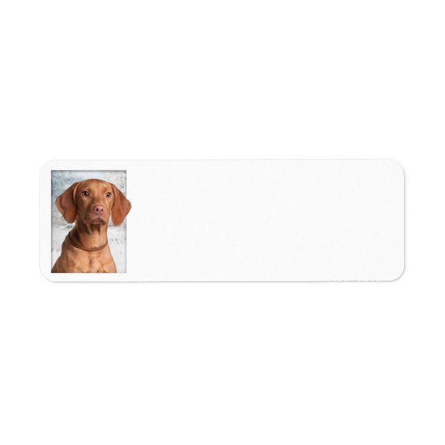 Etiqueta Vizsla Return Address Labels (Frente)