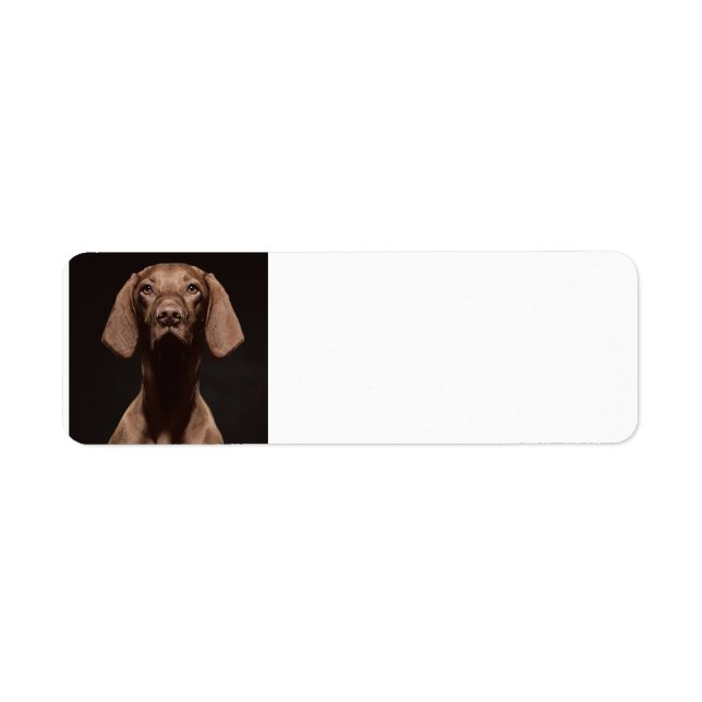 Etiqueta Vizsla Terceiro (Frente)
