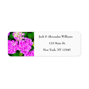 Etiqueta Watercolor Hydrangea Pink Endereço de retorno Flor