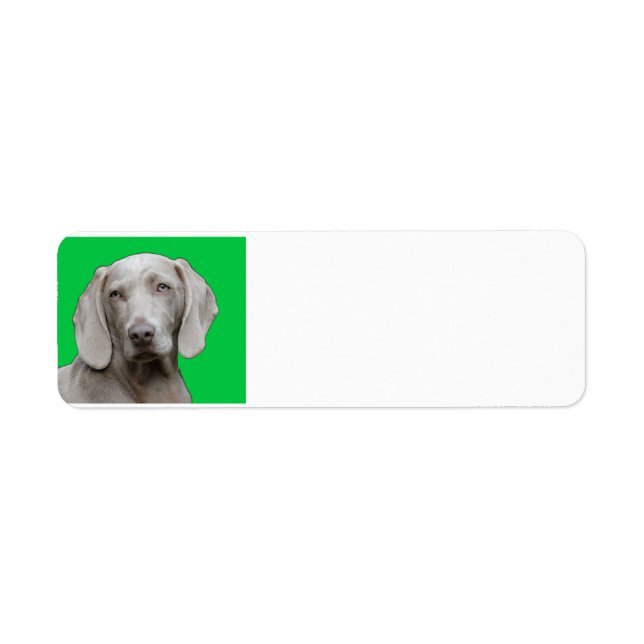 Etiqueta weimaraner 2 (Frente)
