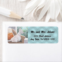 Westin Olhando uma janela