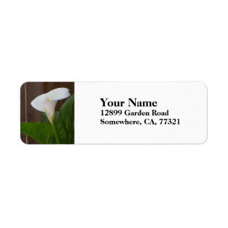 Etiqueta White Cali Lily
