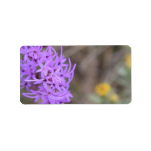 Etiqueta Wildflower da lavanda