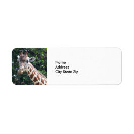Etiqueta Wildlife Giraffe Foto