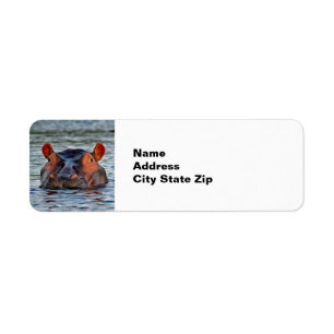 Etiqueta Wildlife Hippo Water Photo