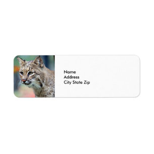 Etiqueta Willife Brown Bobcat Lynx