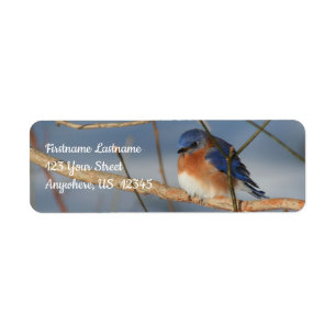 Etiqueta Winter Bluebird Animal Address