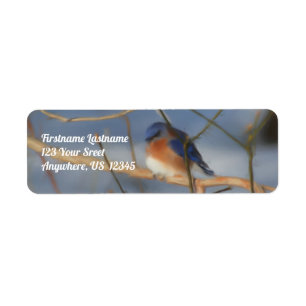 Etiqueta Winter Bluebird Nature Art Address