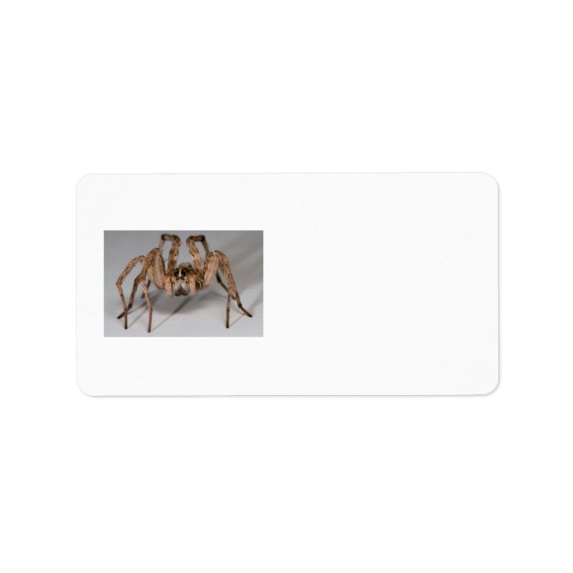 Etiqueta Wolf Spider (Frente)