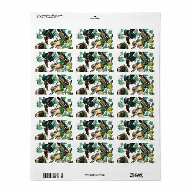 Etiqueta Wood Duck por John James Audubon (Toda a folha)