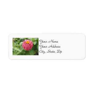 Etiqueta Zinnia Rosa
