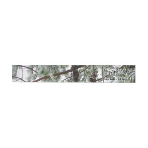 Etiquetas Abaixo da neve coberta pela árvore de pinheiro Fot