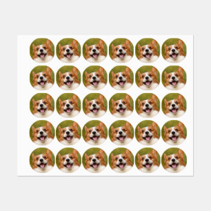 Etiquetas Adicionar Foto de Cachorro Personalizada Customiza