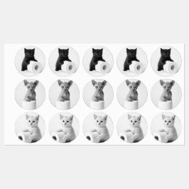 Etiquetas Aesthetic Curious Cats Exploring Toilet Paper
