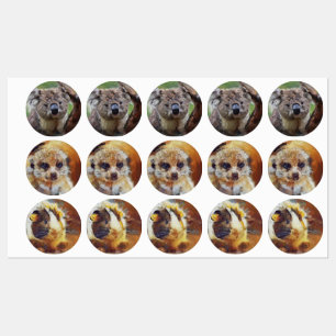 Etiquetas Animais Smartmix 1220