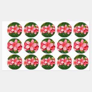 Etiquetas Arte de Frangipani Tropical Rosa