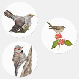 Etiquetas Aves aquáticas