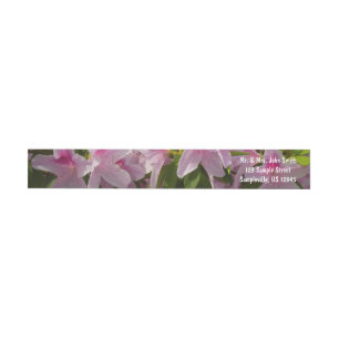 Etiquetas Azalea Bush Primavera Floral rosa