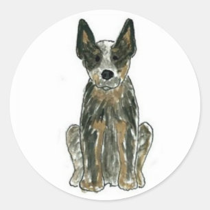 Etiquetas azuis de Heeler do cão australiano do