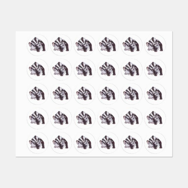 ETIQUETAS BADGER (Folha)