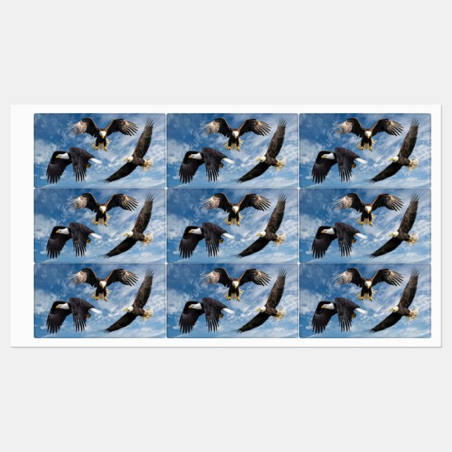 Etiquetas Bald Eagle Soaring (Folha)