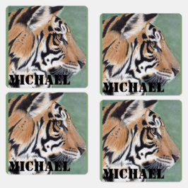 Etiquetas Boys Iron On Clothes Labels Tiger & NAME