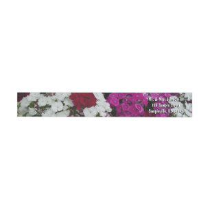 Etiquetas Branco, Rosa e Vermelho Dianthus Floral