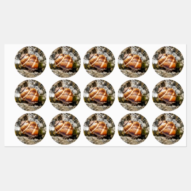 Etiquetas Burgundy snail  (Folha)