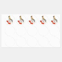 Cera de aves da floresta aquosa