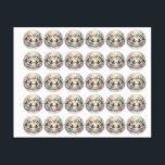 Etiquetas Circle of Flight and Whimsy<br><div class="desc">Wings in the Garden of Clouds</div>