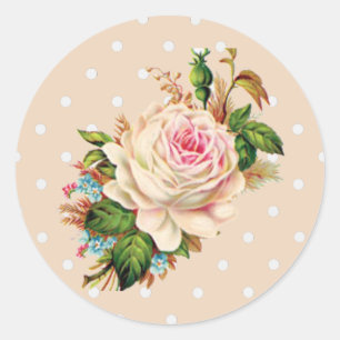 Etiquetas cor-de-rosa das bolinhas do vintage