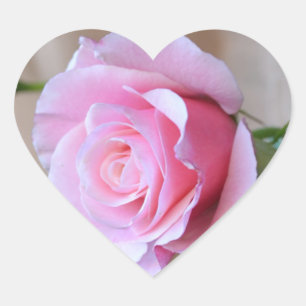 Etiquetas cor-de-rosa do coração da reverência