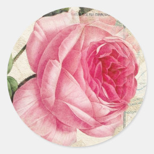 Etiquetas cor-de-rosa do francês de Redoute
