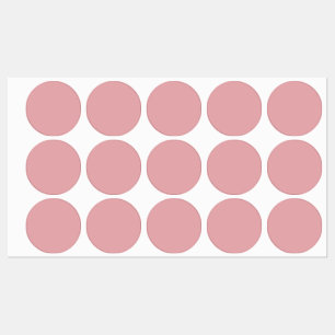 Etiquetas Cor Sólida Rosa-Rosa Rosa   Clássico   Elegante