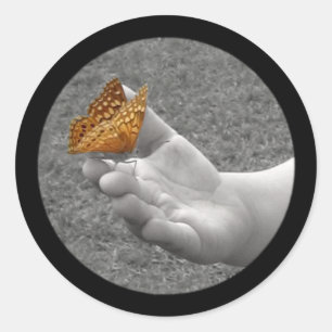 Etiquetas da borboleta