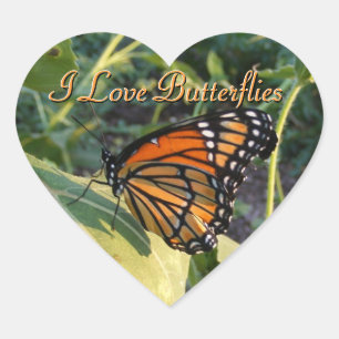 Etiquetas da borboleta