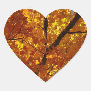 Etiquetas da natureza do amor - folhagem de outono