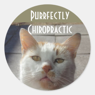Etiquetas da quiroterapia de Purrfectly