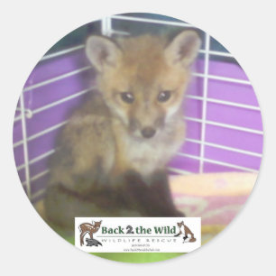 etiquetas da raposa do bebê