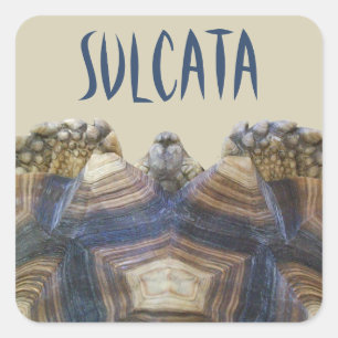 Etiquetas da tartaruga de Sulcata